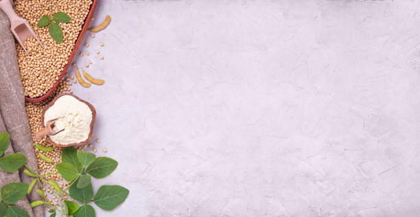 生大豆和大豆粉，平铺有文字空间，横放横幅图片下载