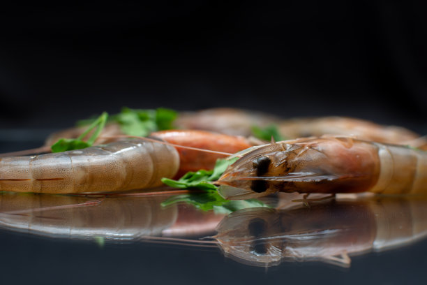 镜子里映出的鲜虾图片下载