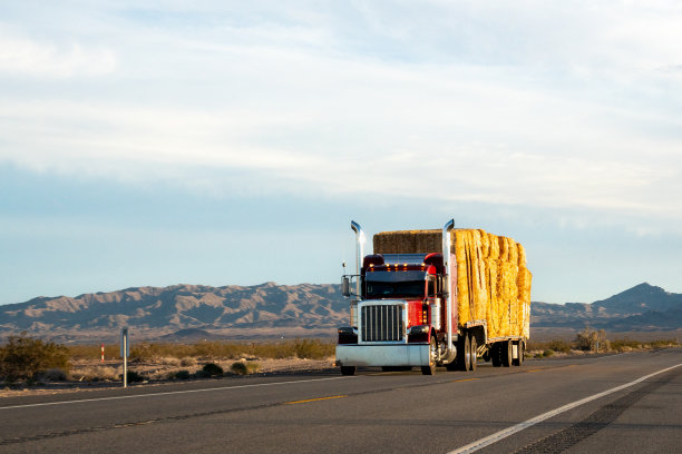 日落时分，一辆巨大的半挂车隆隆地穿过内华达州的沙漠，强大的发动机在广阔的沙漠中回荡。群山的剪影坚忍地矗立在背景中，见证着卡车的旅程。图片下载