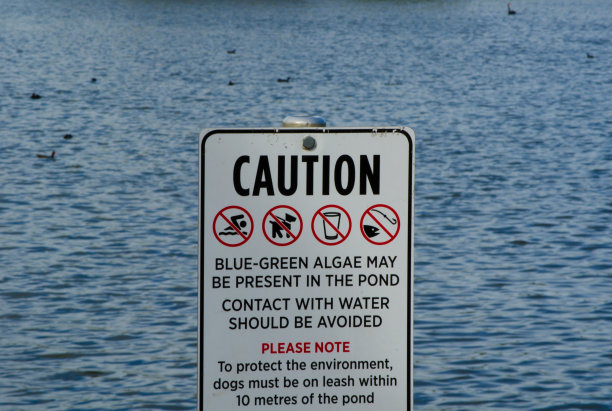 “在池塘内应避免接触水，禁止游泳，禁止钓鱼，狗只必须在距离池塘10米的范围内系上皮带”的警告标志。图片下载