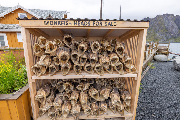 出售安康鱼头图片下载