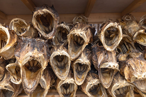 出售安康鱼头图片下载