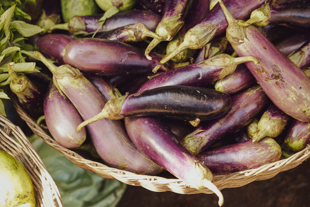 街市上出售的茄子图片下载