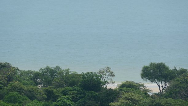 美丽的热带海滩，大树和棕榈树，绿松石海洋在夏日的景观背景放松假期图片下载