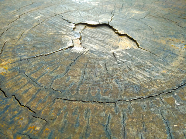 残桩和裂纹木纹纹理，旧表面上的木材，褐色背景的复古艺术作品图片下载