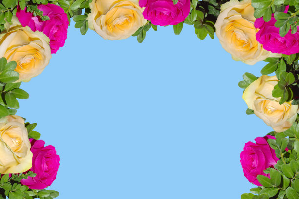 花框架的玫瑰在蓝色的背景。花圈。图片下载