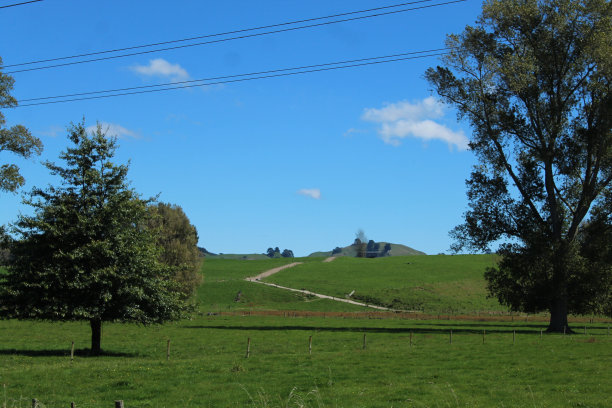 新西兰的农业图片下载