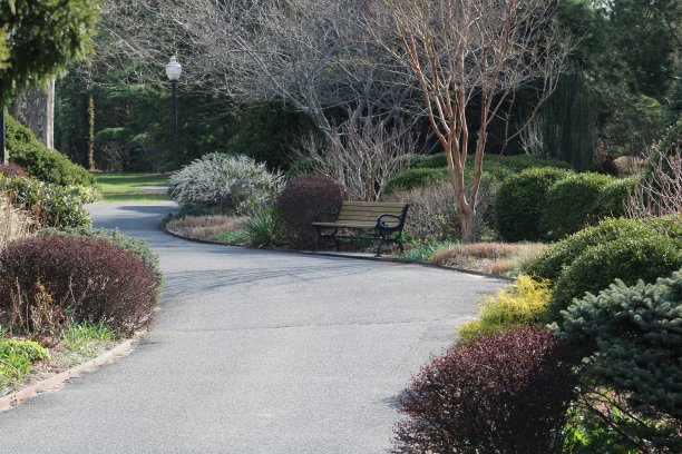 美丽的走图片下载