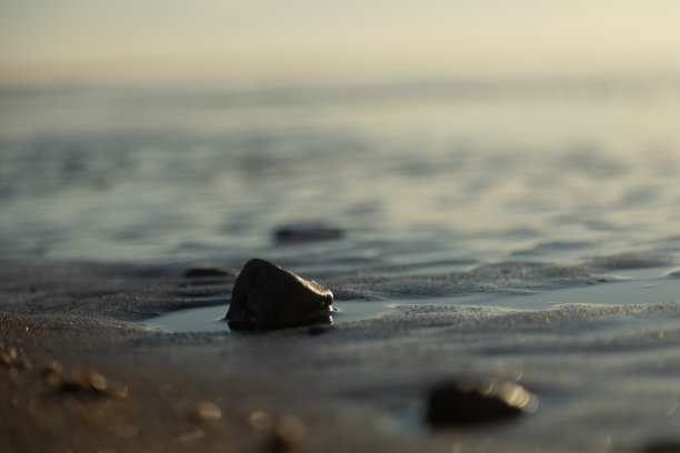 闪闪发光的宝藏:宁静的波罗的海海岸线。日出时波罗的海沙滩的浅景深照片图片下载