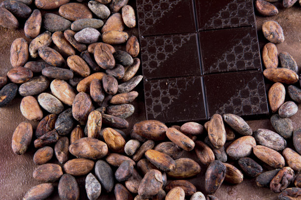 黑巧克力片配烤可可豆。工作室照片在棕色背景与灰泥纹理。复古的乡村气息。图片下载