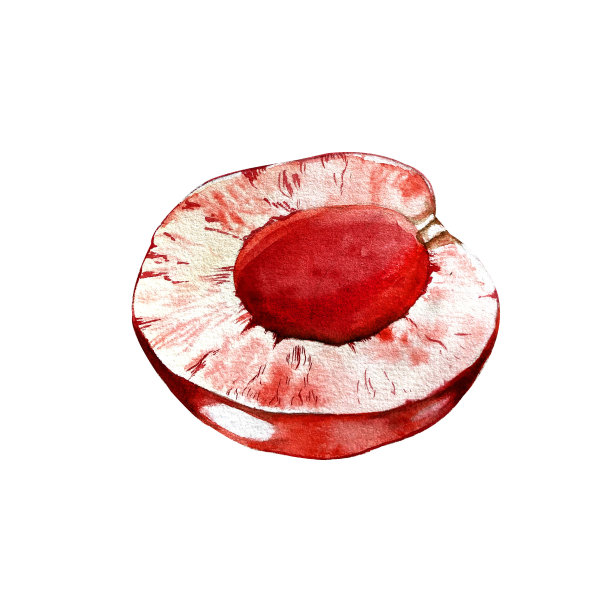 一套樱桃水彩画。鲜嫩多汁的樱桃浆果，有花有叶。设计图片下载