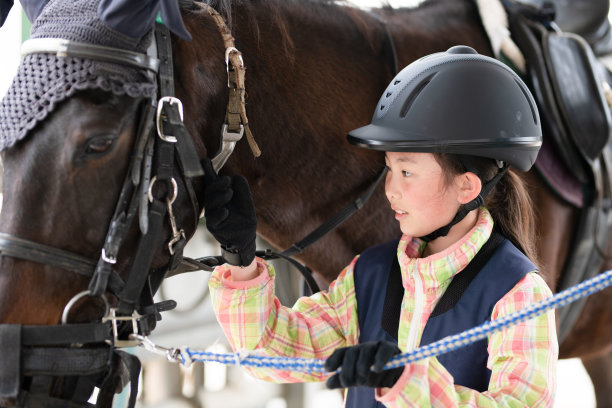 孩子在照顾一匹马图片下载