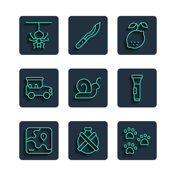 集线非洲狩猎地图，水壶，爪印，柠檬，蜗牛，狩猎车，蜘蛛和手电筒图标。向量图片下载