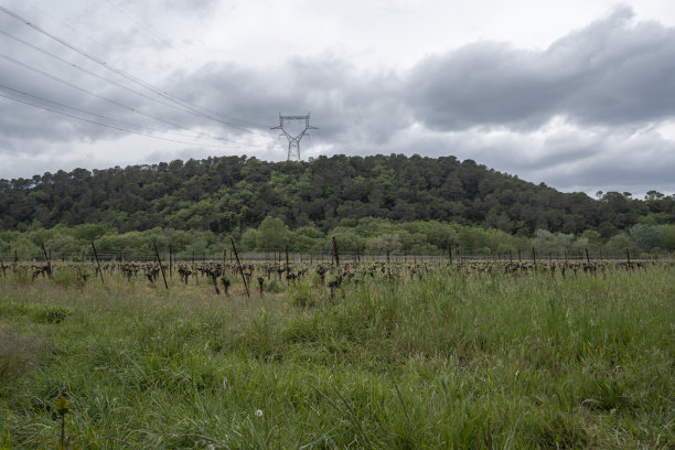 法国，莱克。2023年04月22日:莱克附近维多勒河沿岸的乡村和葡萄园图片下载