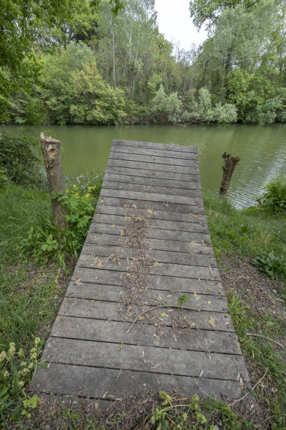 法国，莱克。2023年04月22日:莱克附近维多勒河沿岸的乡村和葡萄园图片下载