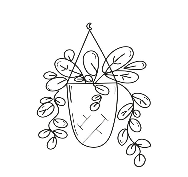 家里花盆里的植物黑白涂鸦画。图片下载