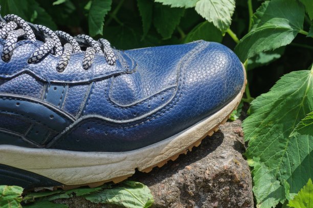 一只带有灰色蕾丝的蓝色皮革运动鞋矗立在绿色的植被中图片下载