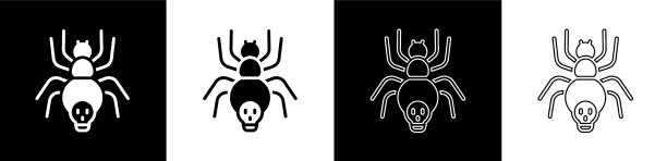 设置毒蜘蛛图标隔离在黑色和图片下载