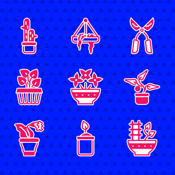 将花插在花瓶发芽瓶花盆中图片下载