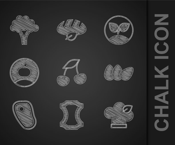 设置新鲜浆果皮素食饮食图片下载