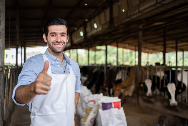 农民手捧颗粒状干燥饲料喂牛图片下载
