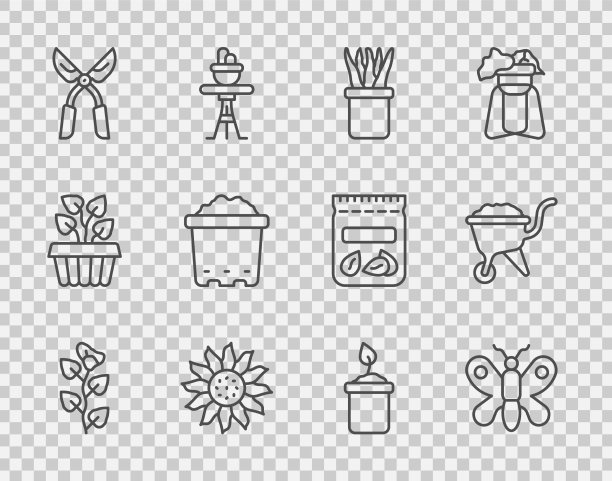 将常青藤枝蝴蝶植于盆中图片下载