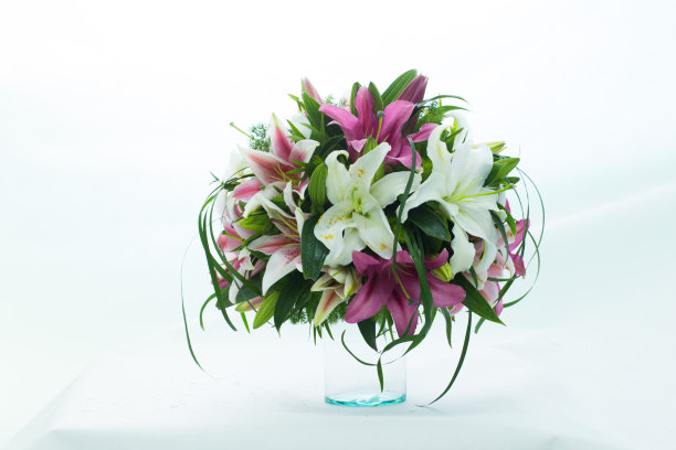 许多种花把它放在一个花瓶在一个白色的背景图片下载