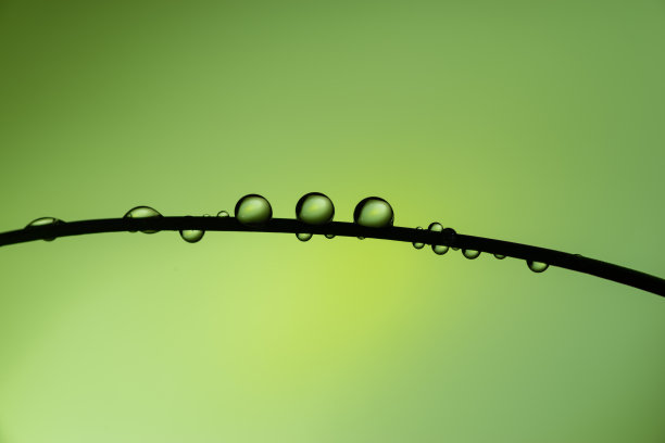 美丽的水滴图片下载