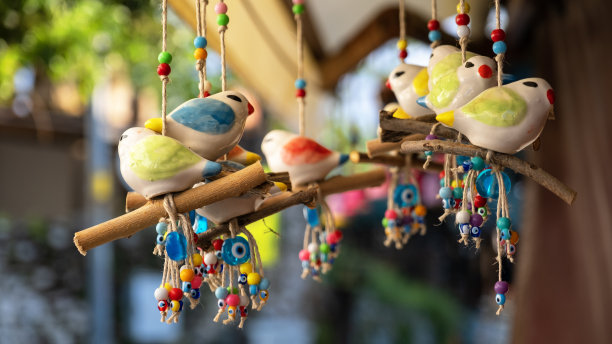 五颜六色的小鸟图片下载