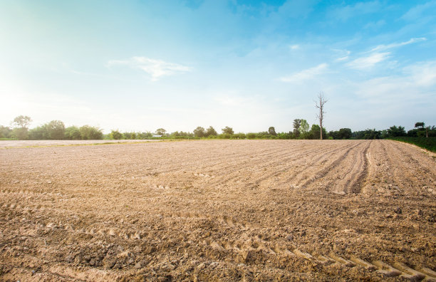空旷干裂的沼泽垦荒土壤，农村有汽车轮胎印的建房用地，蓝天美丽。图片下载