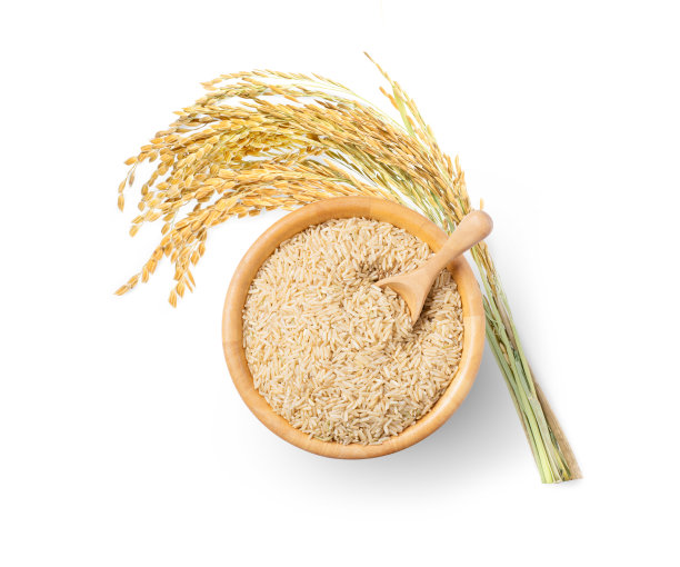 糙米图片下载