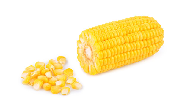 白色背景上的甜玉米图片下载