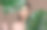 美丽的亚洲女人触摸眉毛微笑，干净和新鲜的皮肤幸福米色背景。美丽迷人的少女肖像与绿色植物的叶子隔绝。图片下载
