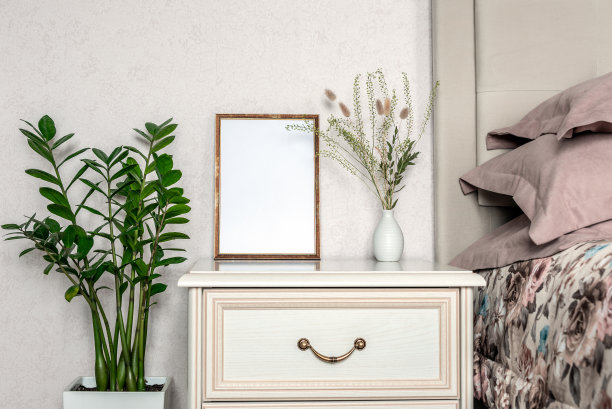 模板与相框在床头柜上。一束干植物。室内盆栽扎米卡兰。窗外的阳光。副本的空间。图片下载