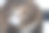 挪威森林猫摇着头的长曝光照片…图片下载