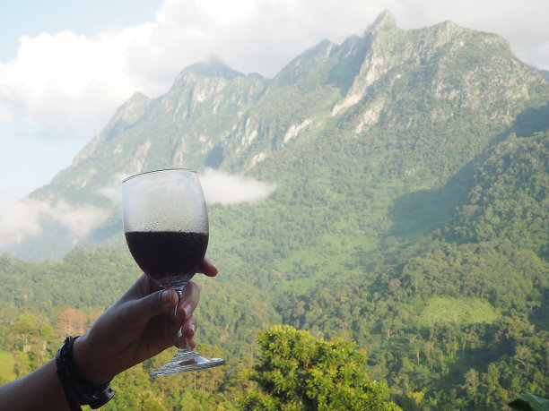 在美丽的山脉背景下，手拿着一杯红酒的特写图片下载