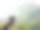 在美丽的山脉背景下，手拿着一杯红酒的特写图片下载