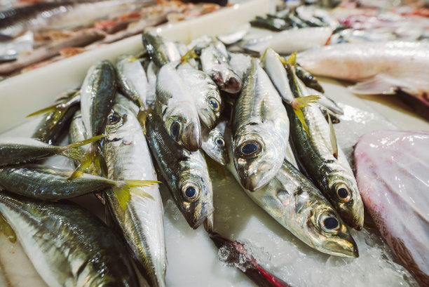 一堆马鲛鱼，新鲜的生鱼堆在市场上出售。鱼市场商店里的生鱼。图片下载