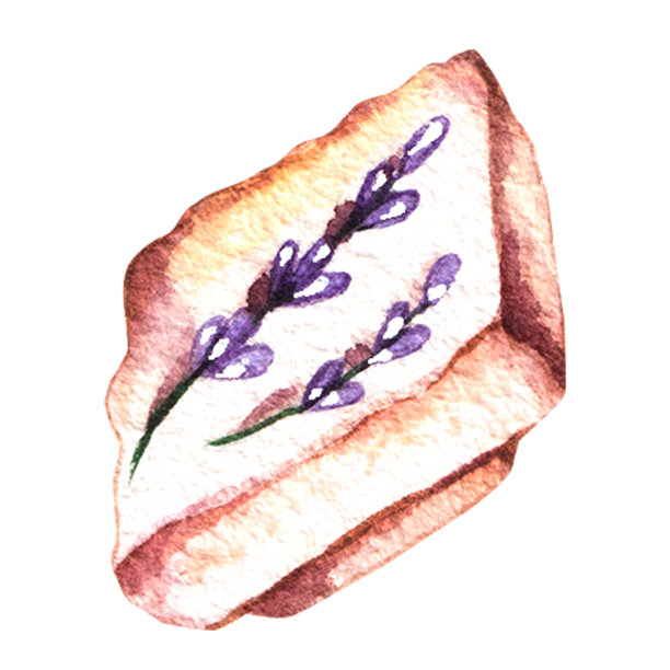 白巧克力水彩画，白色上点缀薰衣草小枝图片下载