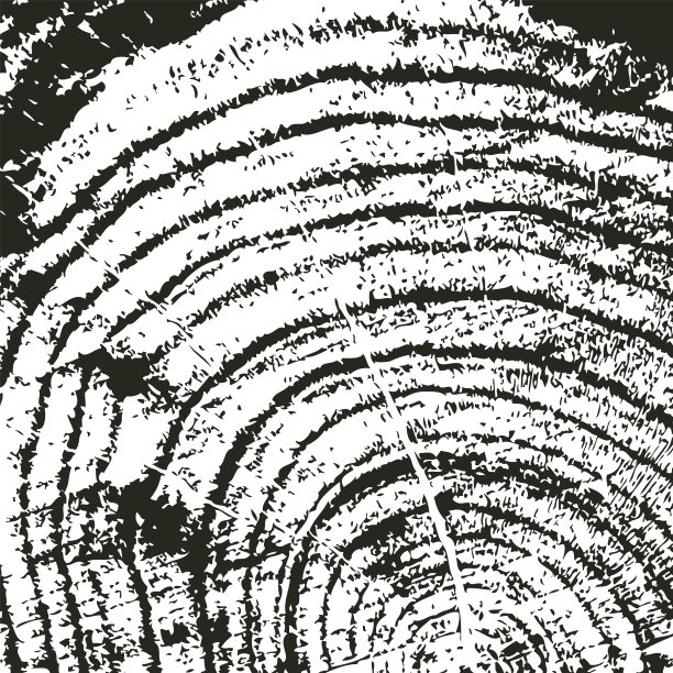 木材锯切的方形图案和树干的横截面图片下载