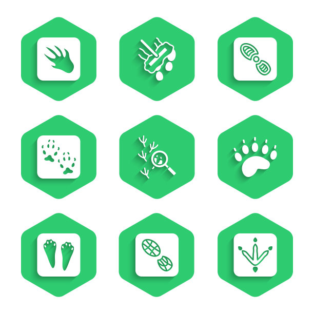 集鸟脚印，人类脚印鞋，鸡爪，熊，兔子和野兔，狐狸，鳄鱼和鳄鱼的图标。向量图片下载