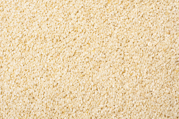 白芝麻纹理背景图片下载