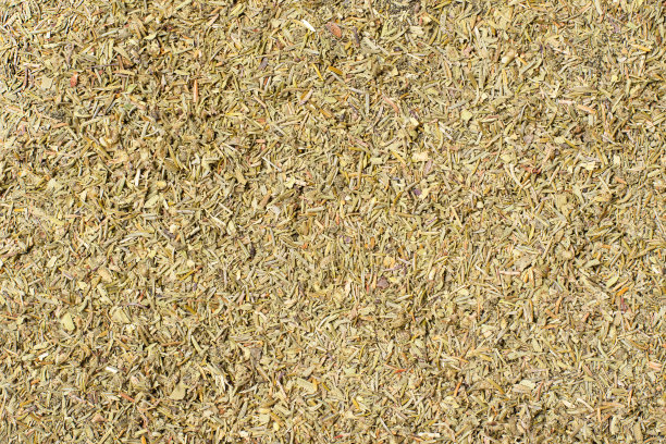 干百里香叶图片下载