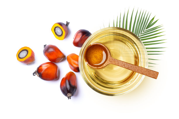 棕榈油用的是油棕图片下载