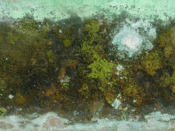 塑造墙图片下载