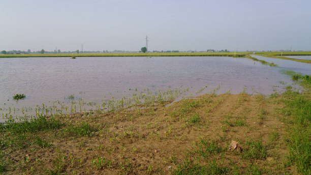 2023年5月艾米利亚罗马涅洪水图片下载