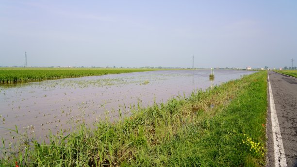 2023年5月艾米利亚罗马涅洪水图片下载