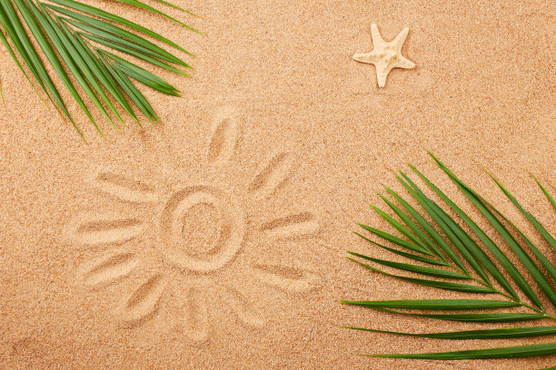 夏日沙滩背景。海星、棕榈叶和沙滩上的太阳图。图片下载