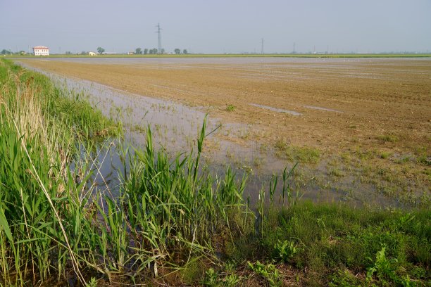 2023年5月艾米利亚罗马涅洪水图片下载