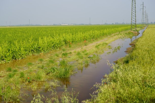 2023年5月艾米利亚罗马涅洪水图片下载